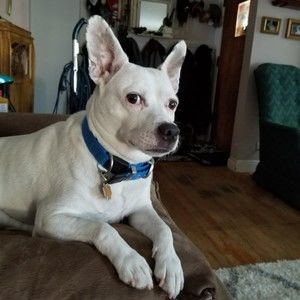 Meet your Posher, Posh